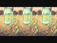 pochette album Fireflies