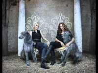 pochette album Delight