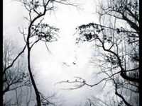 pochette album Baby please don't go