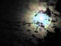 pochette album Shining moon