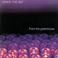 pochette album The frozen rain