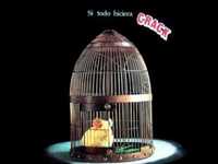 pochette album Cobarde o desertor