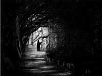 pochette album Fear of the dark