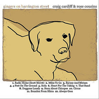 pochette album Brandon from ithica