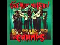 pochette album Alligator stomp