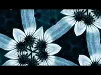 pochette album Will you remember