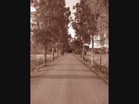 pochette album Of hope and despair