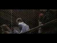 pochette album Still alive