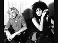 pochette album But not them