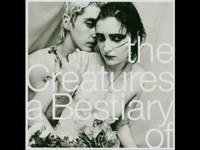 pochette album Gecko