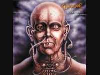 pochette album Suffer the shadows