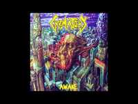 pochette album Awake