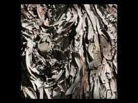 pochette album Do you know