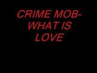 pochette album What is love