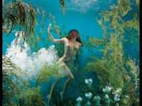 pochette album In fondo al mare