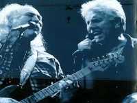 pochette album How does it shine?