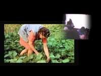 pochette album Long time gone