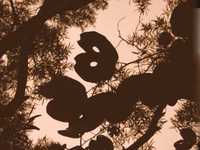 pochette album House of broken dreams