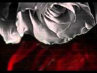 pochette album Breathe