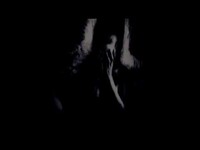 pochette album Fallen