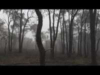 pochette album Teach her how to hunt