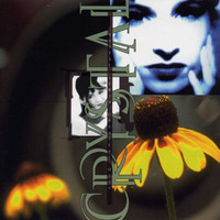 pochette album Shine, jesus, shine