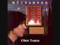 pochette album Ady utolsó fényképe