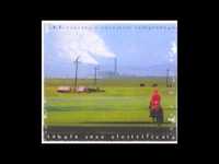 pochette album Accade