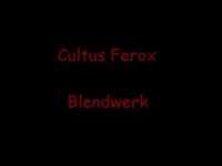 pochette album Blendwerk