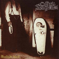 pochette album Silent tunes of falling blood