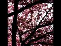 pochette album Hypnagogue