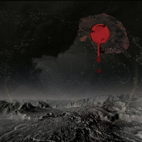 pochette album From the hips