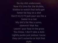 pochette album Insane in the membrane