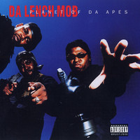 pochette album King of the jungle