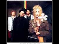 pochette album Everything is weird