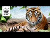 pochette album Weißt du