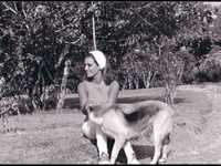 pochette album Cordoba