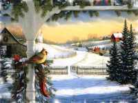 pochette album Douce nuit, sainte nuit