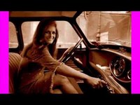 pochette album Le petit perroquet