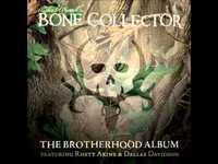 pochette album Yella acorns