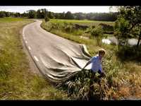 pochette album Bottom shelf