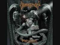 pochette album In resistance