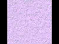 pochette album She goes around