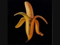 pochette album Insincere