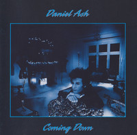 pochette album Coming down fast