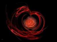 pochette album Bed of roses