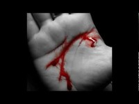 pochette album Bound by blood