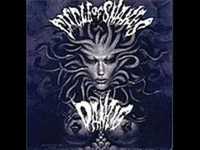 pochette album Skincarver