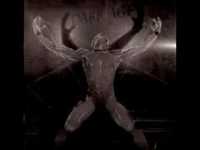 pochette album Fix the focus