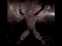 pochette album Neurosis 404